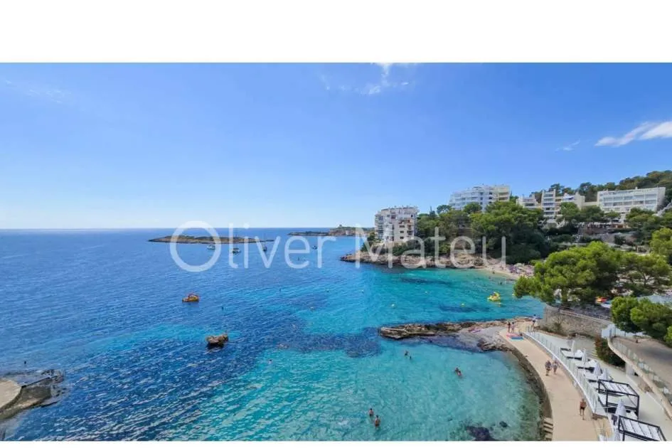 
                    APARTMENT WITH TERRACE AND SEA VIEWS IN ILLETAS
                