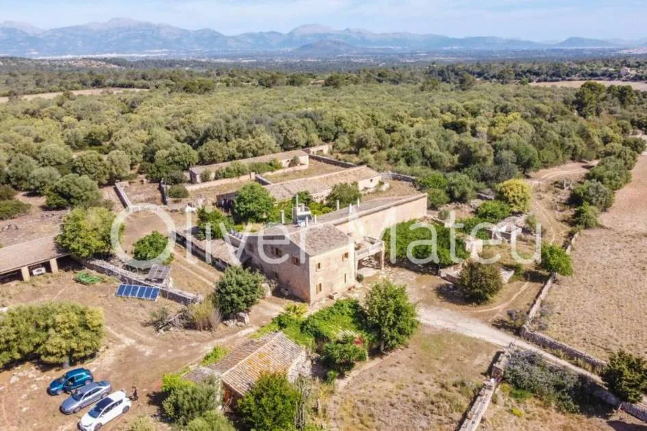 
                    COUNTRY ESTATE IN LLORET DE VISTALEGRE
                