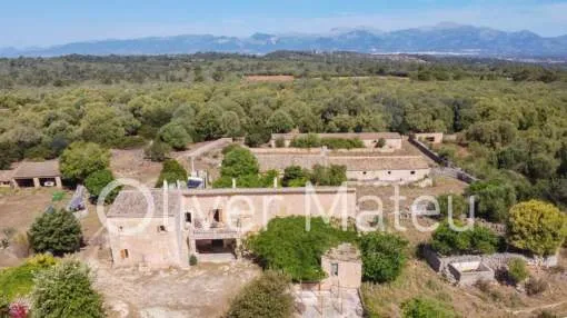 
                    COUNTRY ESTATE IN LLORET DE VISTALEGRE
                