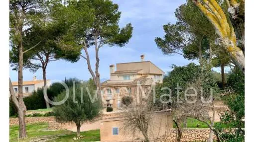 
                    RENOVATED DESIGN HOUSE IN S'ARANJASSA
                