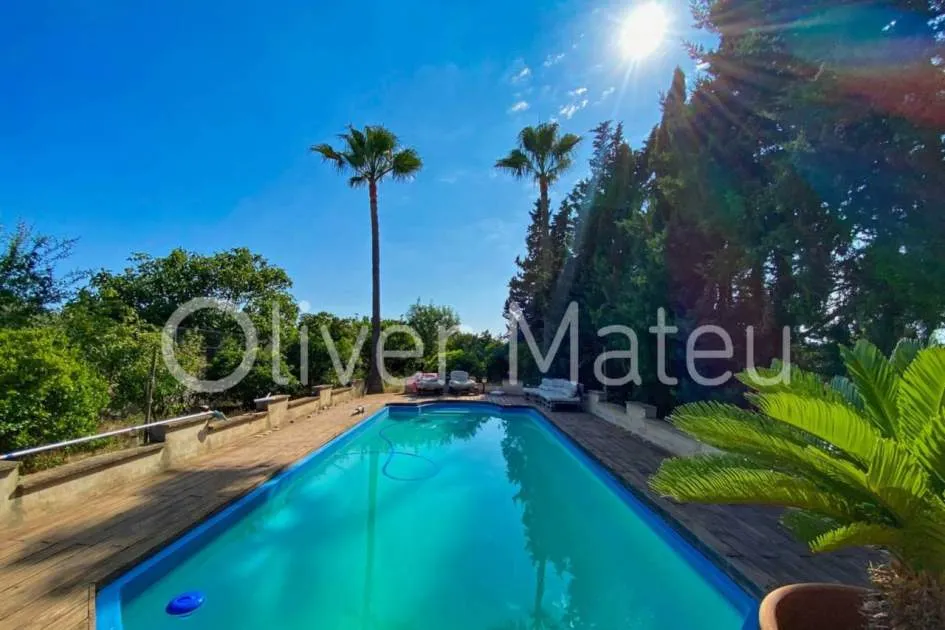 
                    VILLAGE HOUSE WITH GARDEN, POOL AND GARAGE
                