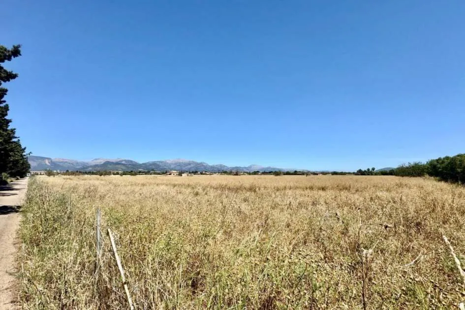 
                    Site for sale in Sencelles
                