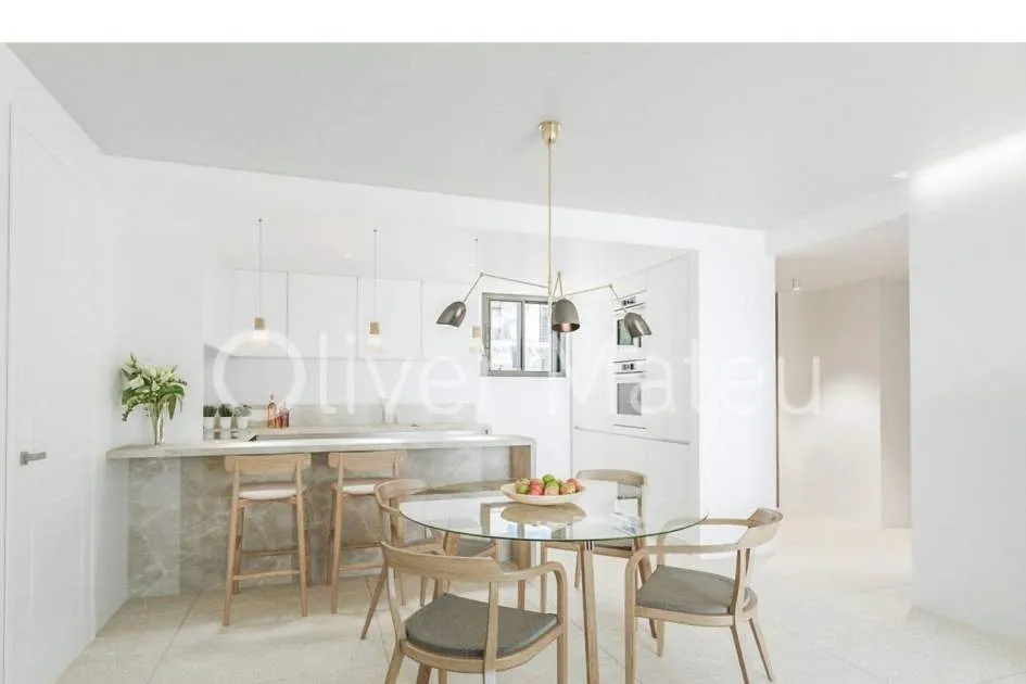
                    LAST PENTHOUSES IN SA RAPITA-SA VINYOLA 2 BEDROOMS WITH PRIVATE TERRACE, PARKING AND STORAGE ROOM
                