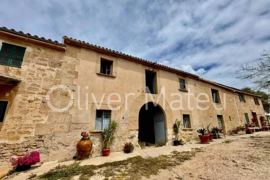 
                    COUNTRY ESTATE WITH 124 HA IN MAIORIS
                