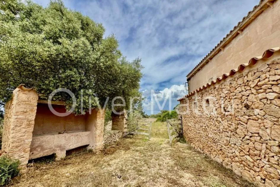
                    COUNTRY ESTATE WITH 124 HA IN MAIORIS
                