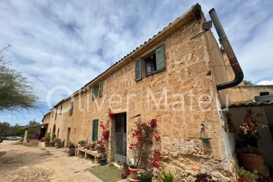 
                    COUNTRY ESTATE WITH 124 HA IN MAIORIS
                