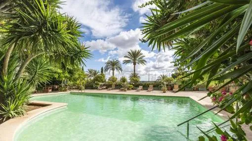 Beautifully renovated, truly unique apartment with magnificent views over Palma Harbour