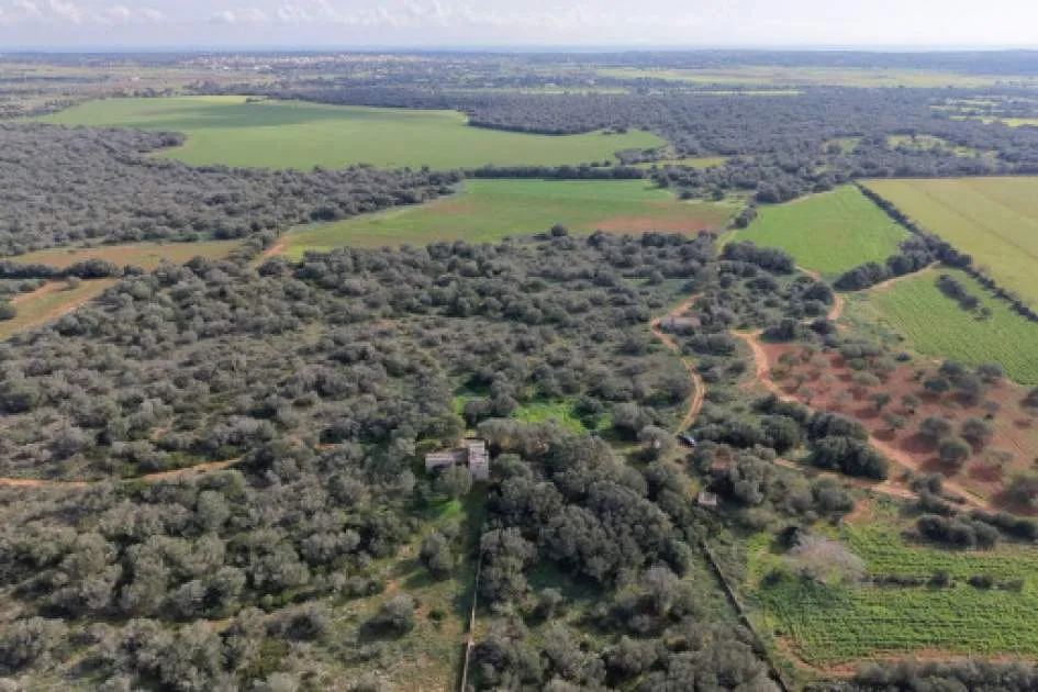 Impressive Building Plot of 280,000 sqm in Prime Location near Santanyí