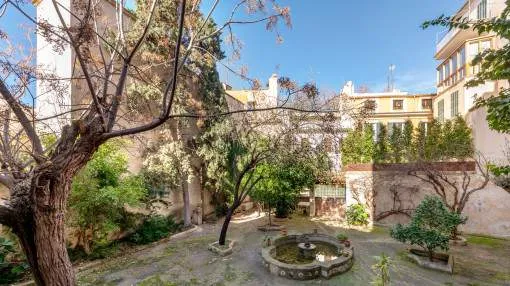 Traditional and  quaint mallorcan apartment with garden in Palma Old Town