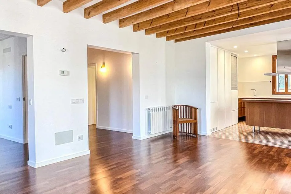 Impeccable apartment in the heart of Palma Impeccable apartment in the heart of Palma