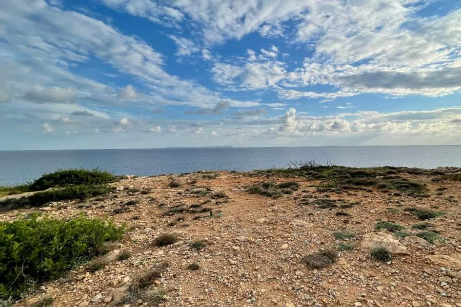Dream plot in the first sea line in Vallgorenera-Cala Pi