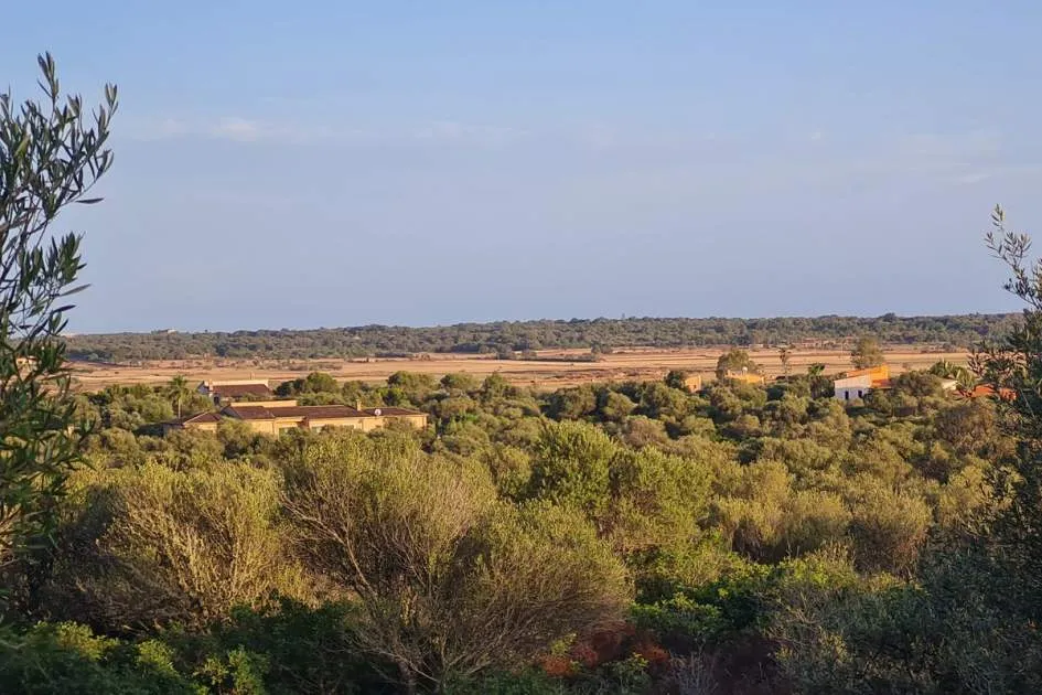 Generous building plot with basic project at the gates of Santanyi