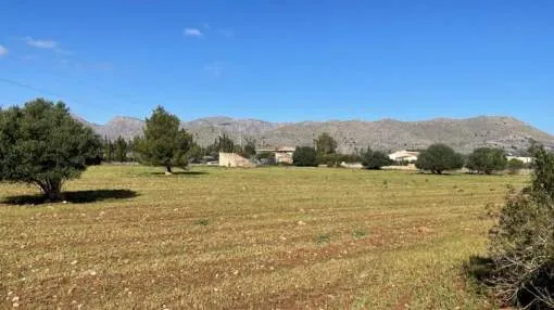 Rustic building land with a project in Pollensa