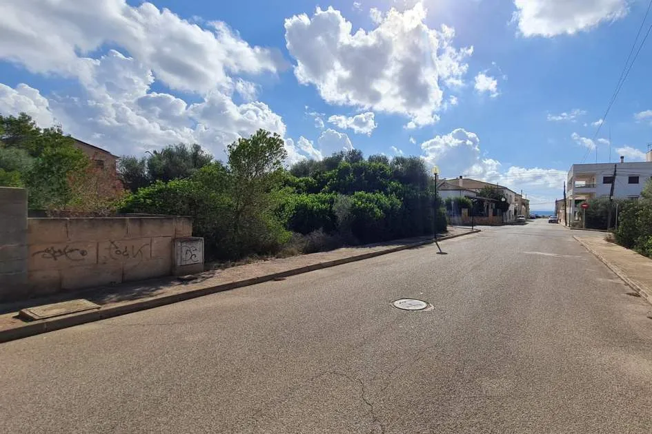 Urban plot in Sa Rápita