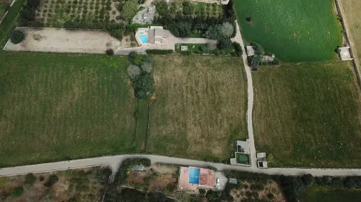 25,000 m² Rustic Plot in Muro with Project, Private Well and Planned House with Pool