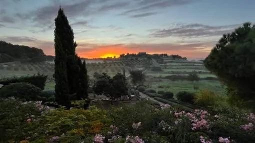 Summer Dream in Mallorca: Exclusive Finca for 10 Guests with Total Privacy, Large Pool & Breathtaking Countryside