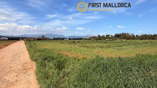 Exclusive plot with project in Llubí