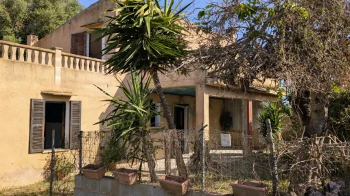 Finca renovation project in Campos