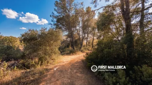 Buildable Rustic Plot in Algaida