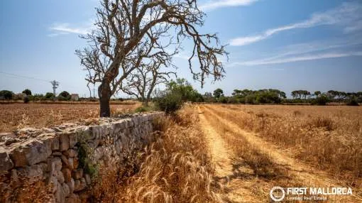 Building plot in a rural setting close to the centre of Santanyí