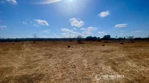 Rustic Building Plot for Sale Near Sa Ràpita & Es Trenc