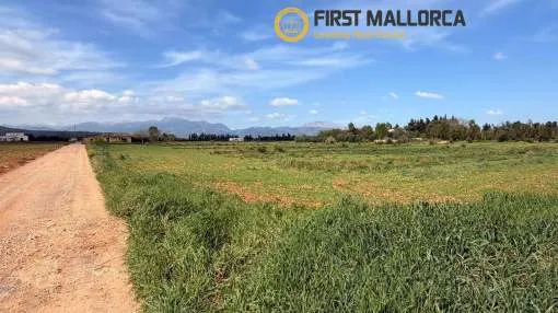 Exclusive plot with project in Llubí