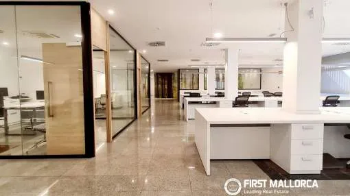 Spacious 427 m² Office for Long-Term Lease in Playa de Palma.