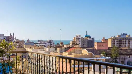 Bright duplex penthouse with far-reaching views in a central residential area